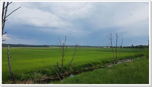 0083_20180510_172911 (Kopie).jpg